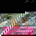 Ali Syam profile icon