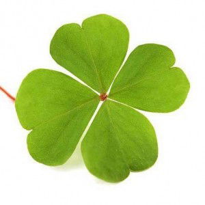 Trâm Đặng profile icon