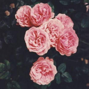 Aisyah Azhari profile icon