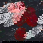 Aisyah Azhari profile icon