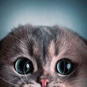 หนึ่งที่คุณรู้จัก ได้ตายไปแล้ว profile icon