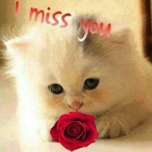 Eita 03 profile icon