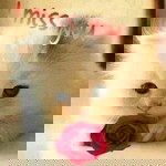 Eita 03 profile icon