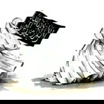 Hanna Alif profile icon