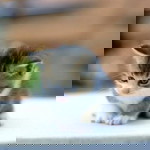 น.ส. วุ่นวาย profile icon