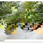 Clara Chan profile icon