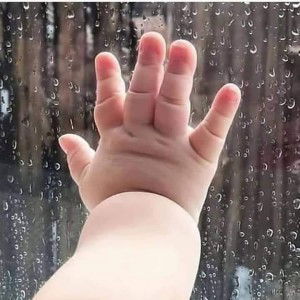 Phunnita Rakthong profile icon