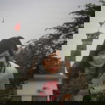 Dung Tran profile icon