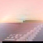 a m a n d a profile icon