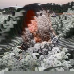 Jitruethai Unmuengin profile icon