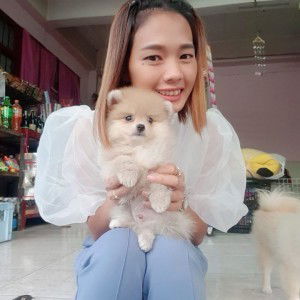 ตูน ตูน profile icon