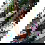 ครีมม ม. profile icon