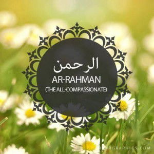 Habib U Rahman profile icon