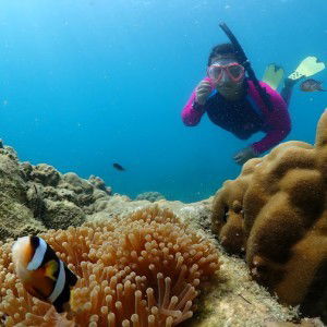 Aresen ripper profile icon