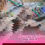 Jaykie Dale profile icon