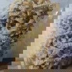 Salsabilla Rahayu profile icon