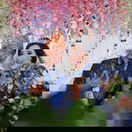 Maria Imakulata profile icon