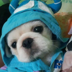 Wena Concepcion profile icon