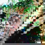 Raquel Balisi profile icon