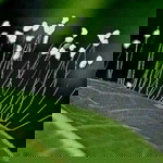 Hoa Của Thiên Thượng profile icon