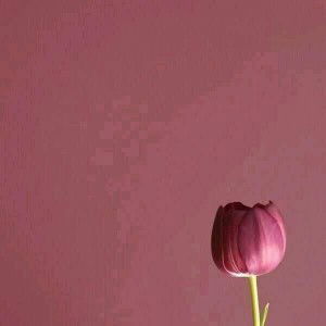 Susan Fy profile icon