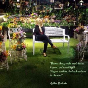 Anita H. Dewi profile icon