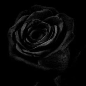 Rach Elle profile icon