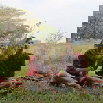 Astia Agustiana profile icon