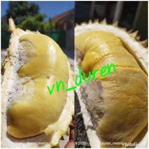 Vina Wildan profile icon