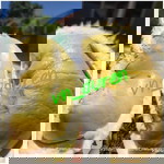 Vina Wildan profile icon