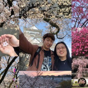 Grace Ng profile icon