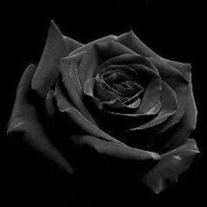 Mari Cua profile icon