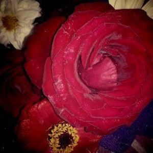 ED Haryati profile icon