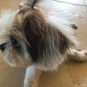 สายฝน ลมหนาว profile icon