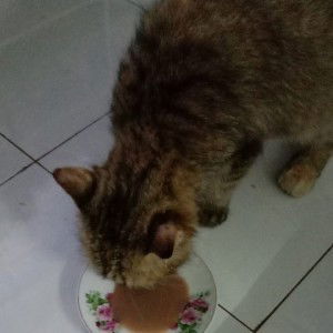 Nor Faizah Izah profile icon