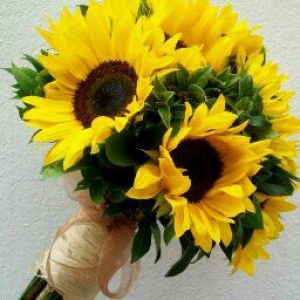 Yenlinh Nguyenthi profile icon