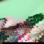 Netral Eka profile icon