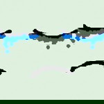 Aoly Saowanit Kruaboonma profile icon