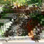 Phachitan Phanchita profile icon