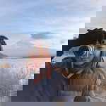 Mai Sathon profile icon