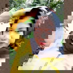 Amell Bonita profile icon