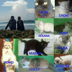 Himawari Thuu Adhindha Part II profile icon