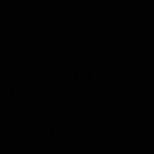 mom to be profile icon