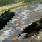 รอยยิ้ม profile icon