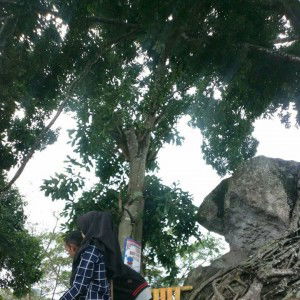 Nixmah Putri Ragill profile icon