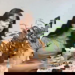 Fern Supaporn profile icon