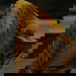 Reynita Marliana profile icon