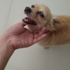 Tyra Benico profile icon