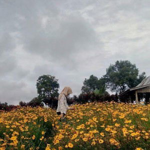 vina octa profile icon