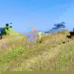 ginnie may vinluan profile icon